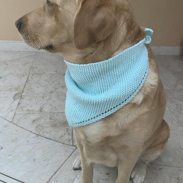 Cat & Dog Bandana