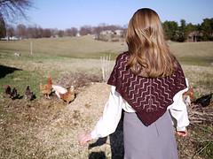 Crooked Walking Shawl