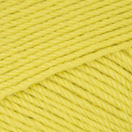 Citronnier (23040)