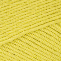 Citronnier (23040)