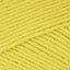 Citronnier (23040)