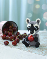 Raccoon