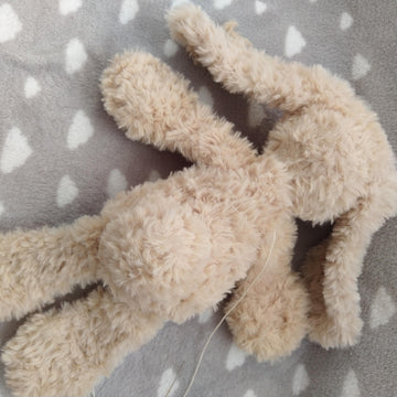 Soft Bunny
