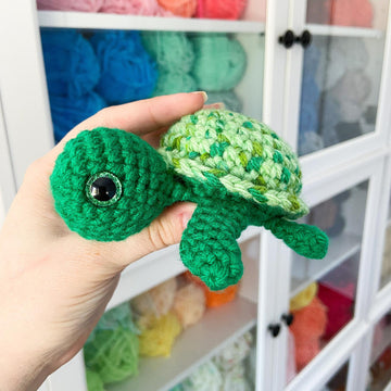 Tiana the Tiny Sea Turtle