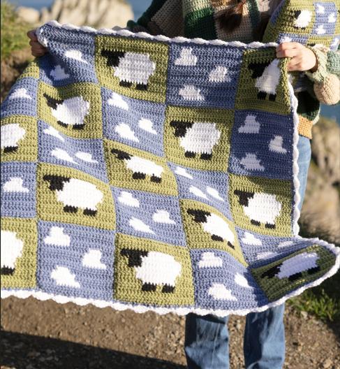 Sleepy Sheepy Baby Blanket