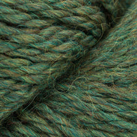 Lichen (583)
