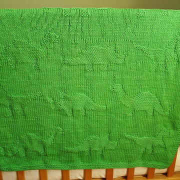 Easy Dinosaur Baby Blanket