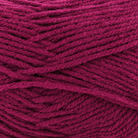 Raspberry (35)