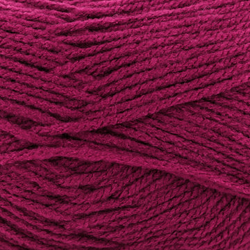 Raspberry (35)