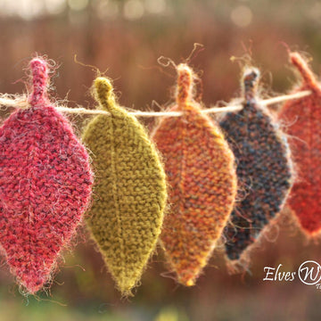 Autumn Elm Leaves