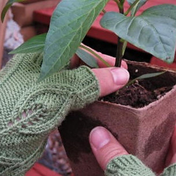 Olericulture Fingerless Gloves