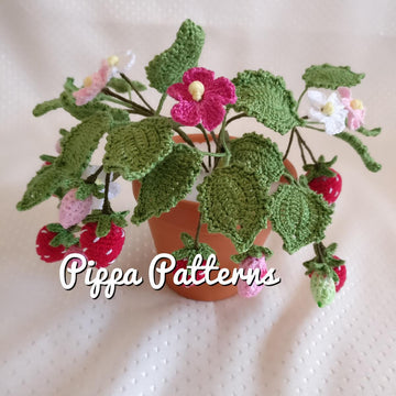 Strawberry Plant