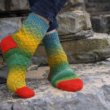 Jurassic Socks