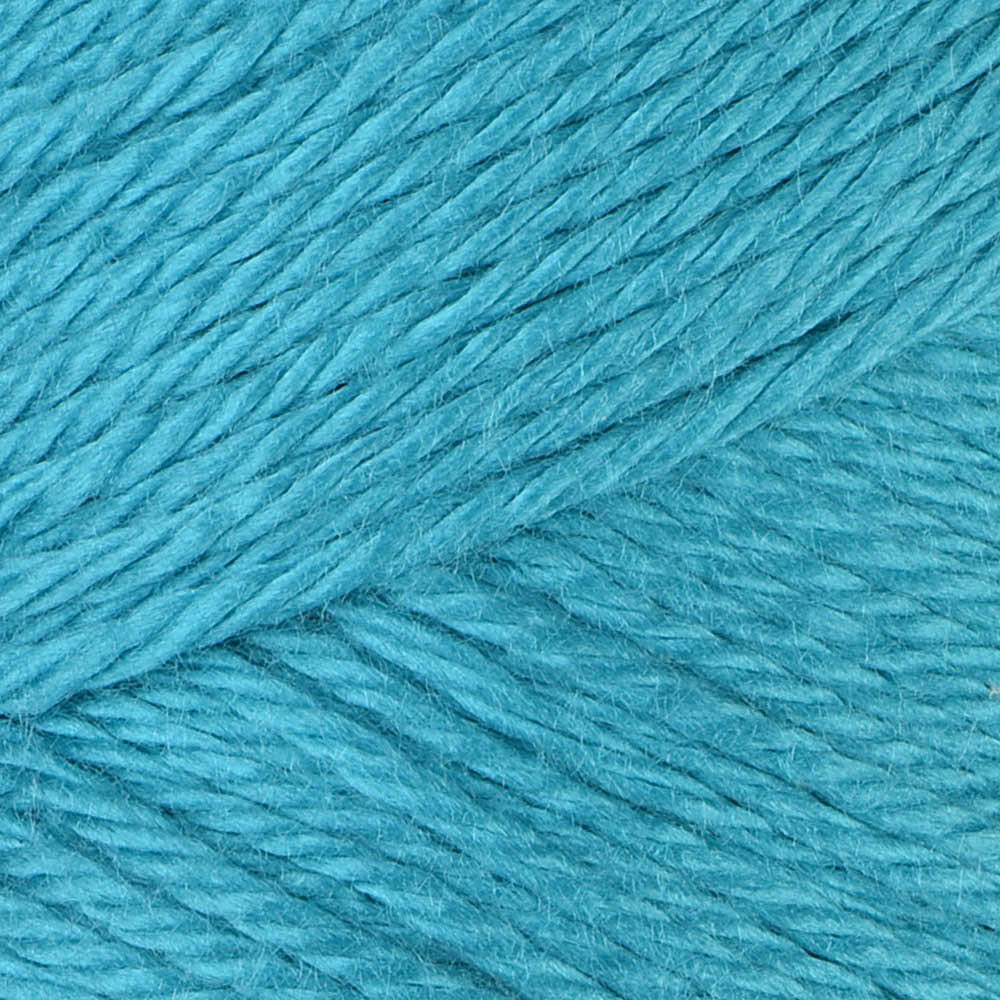 Caron Simply Soft Brites