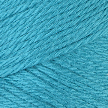 Caron Simply Soft Brites