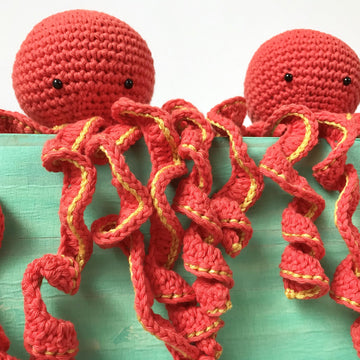 Little Octopus of Hong Kong