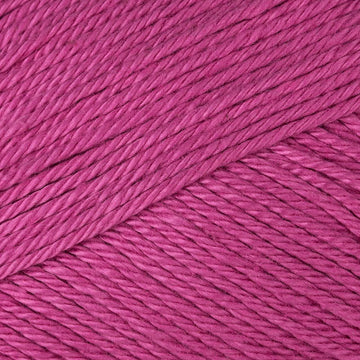 Fuchsia (049)