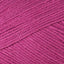 Fuchsia (049)