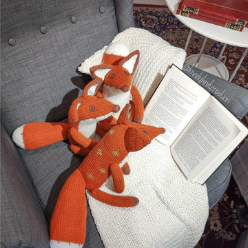 Mister Fox