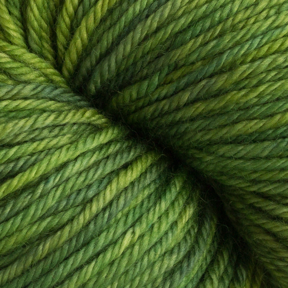 Dream in Color Classy
