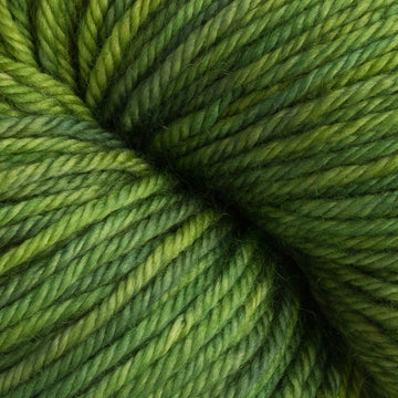 Dream in Color Classy