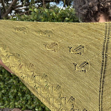 Fronde Shawl