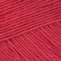 Raspberry (067)