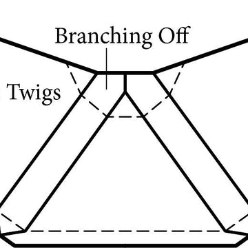 Two Twigs