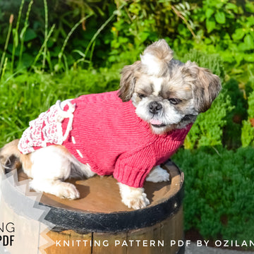 Lace cherry dress for dog