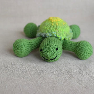 Turtle