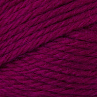 Beet (53)