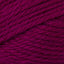 Beet (53)
