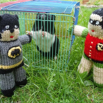 Batman and Robin