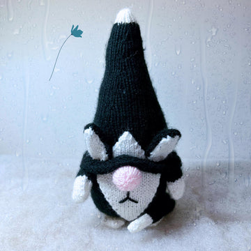 Cat Gnome