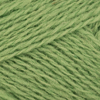 Apple (0785)