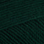 Bottle Green (839)