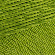 Kiwi (205)