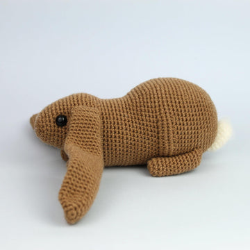 English lop rabbit