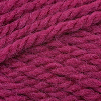 Fuchsia (2344)