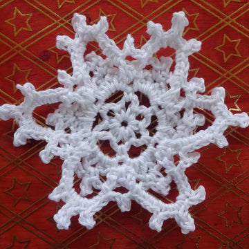 2019 Snowflake