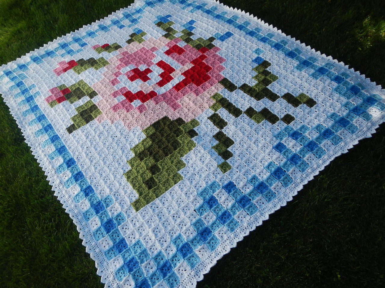 La Vie en Rose Afghan with Border