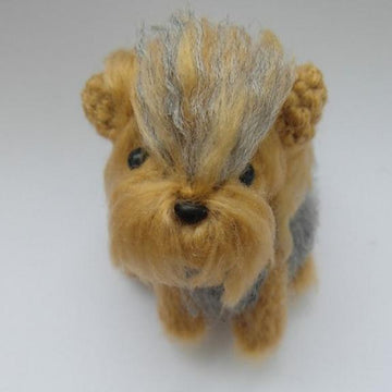 Yorkshire Terrier (Yorkie)