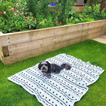 Dotty Dash Blanket