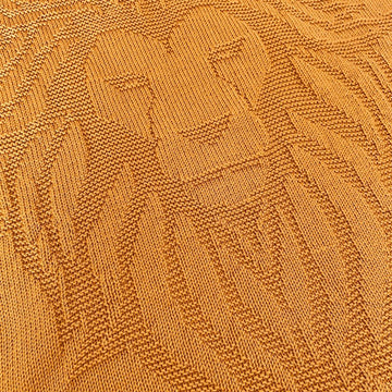Lion Blanket