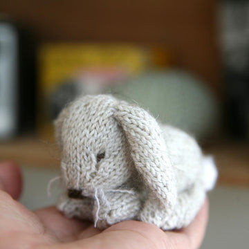 Bunny in a Box
