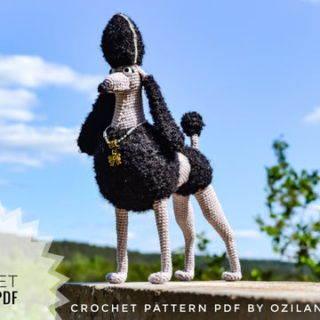 Black Persephone the poodle dog