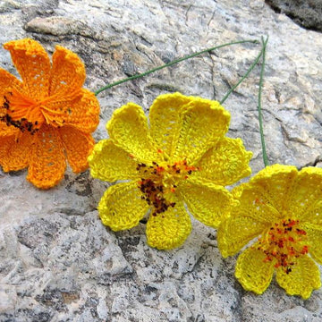Cosmos flower wild flower