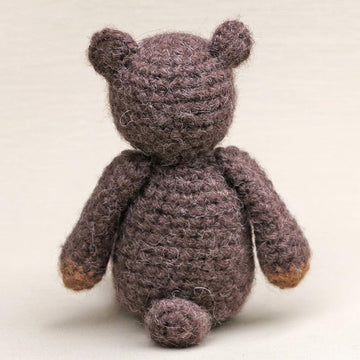Teddy the bear