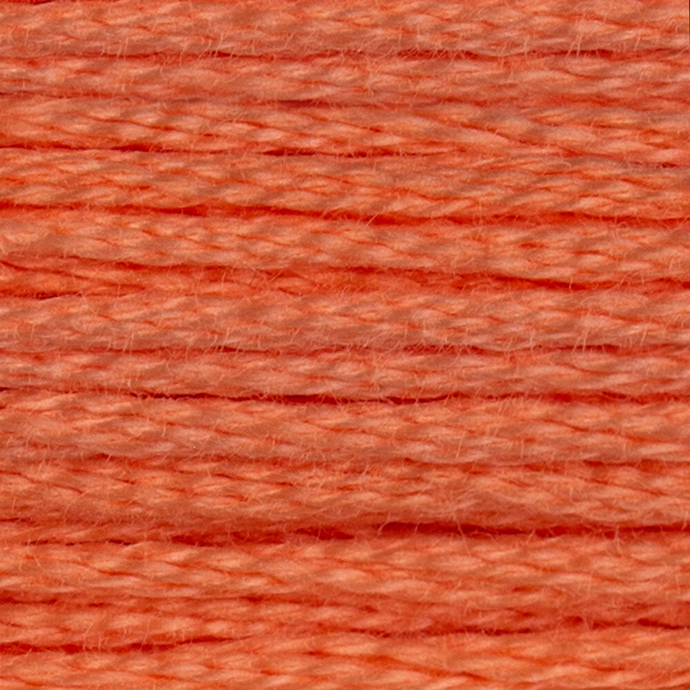 DMC Stranded Cotton - Warm Shades
