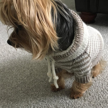 Oatmeal Sweater with Kangaroo Pocket for Dogs